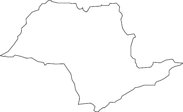 Map of São Paulo ვექტორი